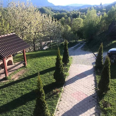 Pensiunea 7 Brazi Пояна-Марулуй Екстер'єр фото