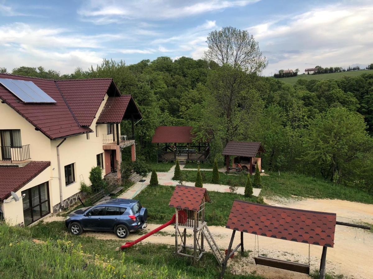 Pensiunea 7 Brazi Пояна-Марулуй Екстер'єр фото
