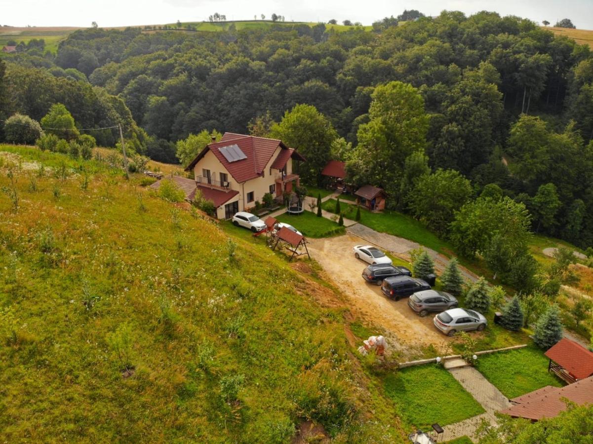 Pensiunea 7 Brazi Пояна-Марулуй Екстер'єр фото