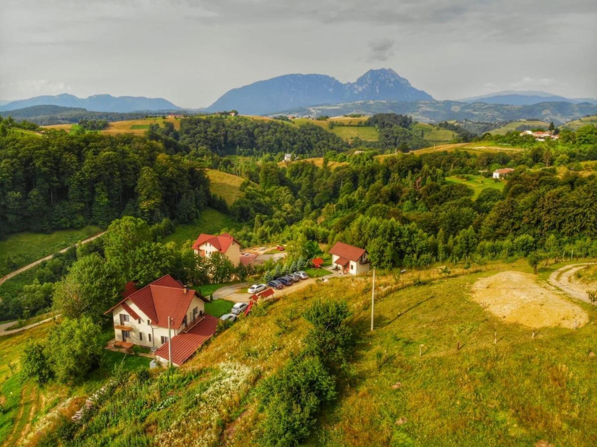 Pensiunea 7 Brazi Пояна-Марулуй Екстер'єр фото