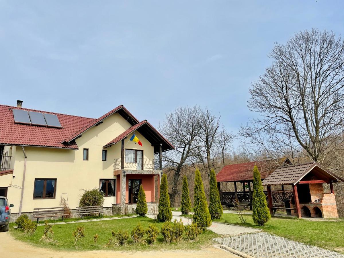 Pensiunea 7 Brazi Пояна-Марулуй Екстер'єр фото