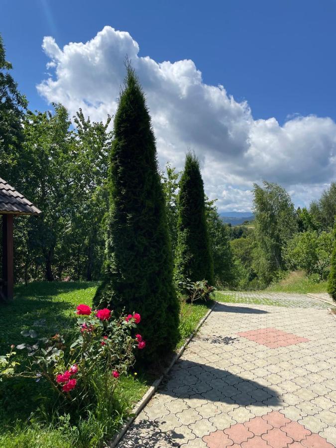 Pensiunea 7 Brazi Пояна-Марулуй Екстер'єр фото
