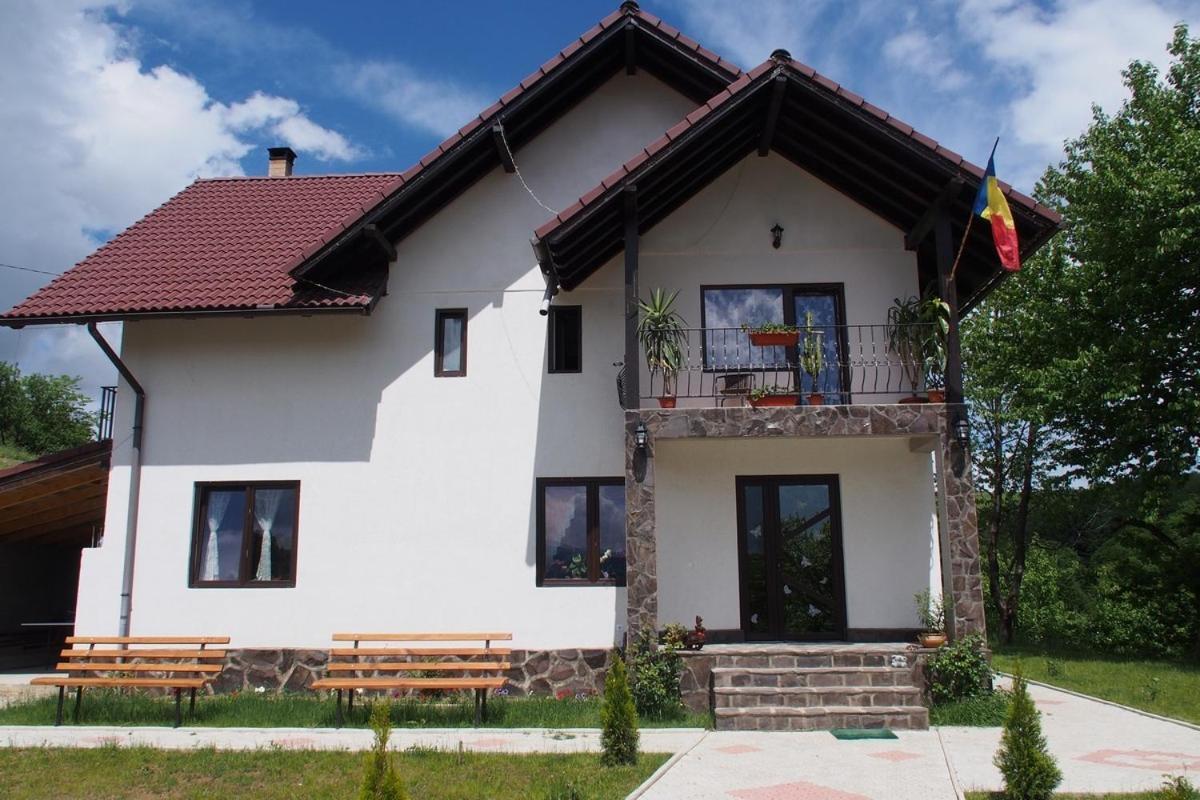 Pensiunea 7 Brazi Пояна-Марулуй Екстер'єр фото
